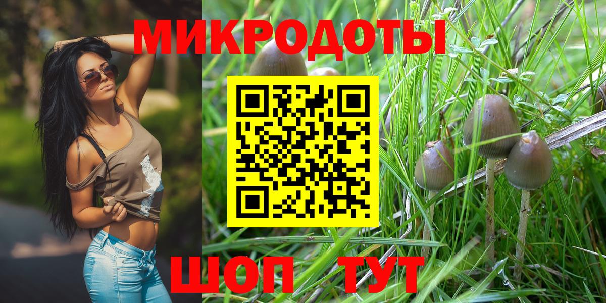 Галлюциногенные грибы мухоморы Михайловск